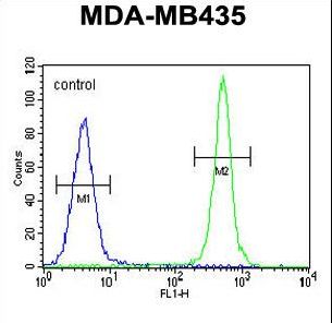 ALKBH6 Antibody flow cytometry of MDA-MB435 cells (right histogram) compared to a negative control cell (left histogram). FITC-conjugated goat-anti-rabbit secondary antibodies were used for the analysis.