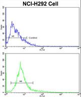 Flow cytometric of NCI-H292 cells using ALKBH8 Antibody (bottom histogram) compared to a negative control cell (top histogram). FITC-conjugated goat-anti-rabbit secondary antibodies were used for the analysis.
