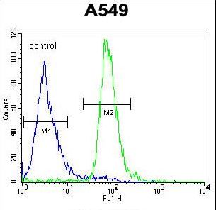 ALOX12B Antibody flow cytometry of A549 cells (right histogram) compared to a negative control cell (left histogram). FITC-conjugated goat-anti-rabbit secondary antibodies were used for the analysis.