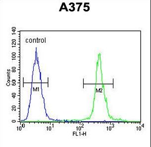 AL2SA Antibody flow cytometry of A375 cells (right histogram) compared to a negative control cell (left histogram). FITC-conjugated goat-anti-rabbit secondary antibodies were used for the analysis.