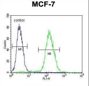 ABHDB Antibody flow cytometry of MCF-7 cells (right histogram) compared to a negative control cell (left histogram). FITC-conjugated goat-anti-rabbit secondary antibodies were used for the analysis.