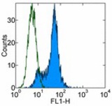 Staining of mouse JAML-transfected CHO cells with 0.5 ug of Purified Armenian Hamster IgG isotype control (open histogram) or 0.5 ug of Purified anti-mouse JAML (4E10) (colored histogram) followed by FITC Anti-Armenian Hamster IgG. Total viable cells were used for analysis.