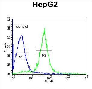 AIFM2 Antibody flow cytometry of HepG2 cells (right histogram) compared to a negative control cell (left histogram). FITC-conjugated goat-anti-rabbit secondary antibodies were used for the analysis.