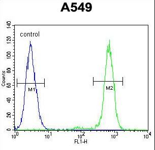 ANAPC5 Antibody flow cytometry of A549 cells (right histogram) compared to a negative control cell (left histogram). FITC-conjugated goat-anti-rabbit secondary antibodies were used for the analysis.