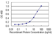 Detection limit for recombinant GST tagged ANK1 is 0.3 ng/ml as a capture antibody.