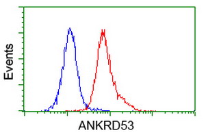 Flow cytometry of Jurkat cells, using anti-ANKRD53 antibody (Red), compared to a nonspecific negative control antibody (Blue).