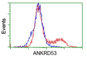 HEK293T cells transfected with either overexpress plasmid (Red) or empty vector control plasmid (Blue) were immunostained by anti-ANKRD53 antibody, and then analyzed by flow cytometry.