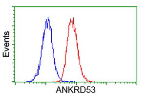 Flow cytometry of Jurkat cells, using anti-ANKRD53 antibody (Red), compared to a nonspecific negative control antibody (Blue).
