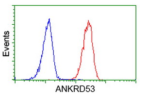 Flow cytometry of HeLa cells, using anti-ANKRD53 antibody (Red), compared to a nonspecific negative control antibody (Blue).