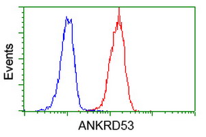 Flow cytometry of Jurkat cells, using anti-ANKRD53 antibody (Red), compared to a nonspecific negative control antibody (Blue).