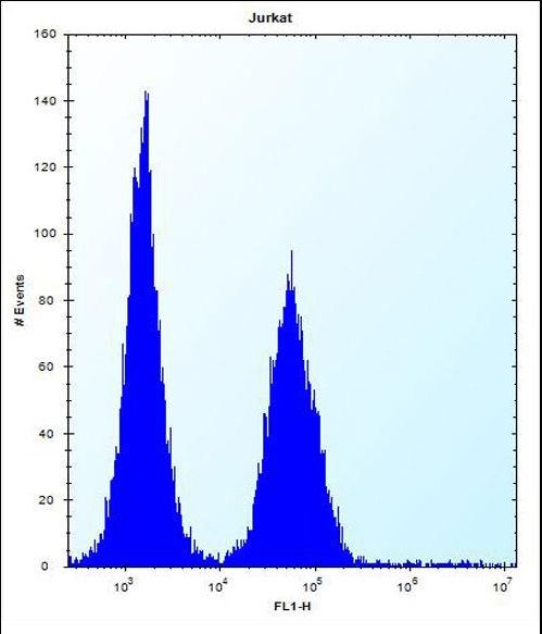 ABI2 Antibody flow cytometry of Jurkat cells (right histogram) compared to a negative control cell (left histogram). FITC-conjugated donkey-anti-rabbit secondary antibodies were used for the analysis.