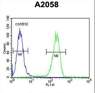 Annexin V Antibody flow cytometry of A2058 cells (right histogram) compared to a negative control cell (left histogram). FITC-conjugated goat-anti-rabbit secondary antibodies were used for the analysis.
