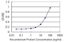 Detection limit for recombinant GST tagged ANXA9 is 1 ng/ml as a capture antibody.