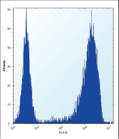 AP2M1 Antibody flow cytometry of Neuro-2a cells (right histogram) compared to a negative control cell (left histogram). FITC-conjugated donkey-anti-rabbit secondary antibodies were used for the analysis.