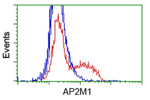 HEK293T cells transfected with either overexpress plasmid (Red) or empty vector control plasmid (Blue) were immunostained by anti-AP2M1 antibody, and then analyzed by flow cytometry.