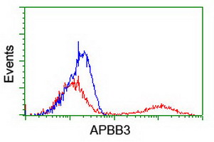 HEK293T cells transfected with either overexpress plasmid (Red) or empty vector control plasmid (Blue) were immunostained by anti-APBB3 antibody, and then analyzed by flow cytometry.