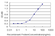 Detection limit for recombinant GST tagged APLP2 is approximately 1 ng/ml as a capture antibody.