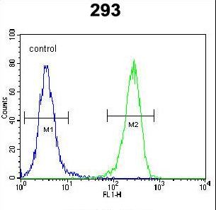 AQP11 Antibody flow cytometry of 293 cells (right histogram) compared to a negative control cell (left histogram). FITC-conjugated goat-anti-rabbit secondary antibodies were used for the analysis.