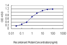 Detection limit for recombinant GST tagged ACAA2 is approximately 0.1 ng/ml as a capture antibody.