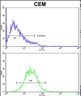 ARF6 Antibody (Center) flow cytometry of CEM cells (bottom histogram) compared to a negative control cell (top histogram).FITC-conjugated goat-anti-rabbit secondary antibodies were used for the analysis.