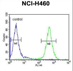 ACD10 Antibody flow cytometry of NCI-H460 cells (right histogram) compared to a negative control cell (left histogram). FITC-conjugated goat-anti-rabbit secondary antibodies were used for the analysis.