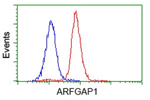 Flow cytometry of Jurkat cells, using anti-ARFGAP1 antibody (Red), compared to a nonspecific negative control antibody (Blue).