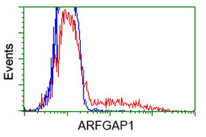 HEK293T cells transfected with either overexpress plasmid (Red) or empty vector control plasmid (Blue) were immunostained by anti-ARFGAP1 antibody, and then analyzed by flow cytometry.