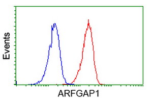 Flow cytometry of Jurkat cells, using anti-ARFGAP1 antibody (Red), compared to a nonspecific negative control antibody (Blue).