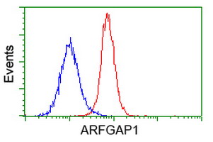 Flow cytometry of HeLa cells, using anti-ARFGAP1 antibody (Red), compared to a nonspecific negative control antibody (Blue).