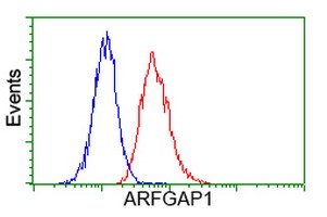 Flow cytometry of Jurkat cells, using anti-ARFGAP1 antibody (Red), compared to a nonspecific negative control antibody (Blue).