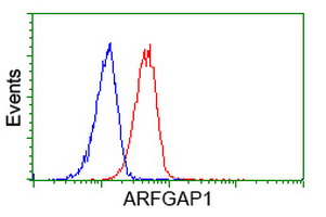 Flow cytometry of HeLa cells, using anti-ARFGAP1 antibody (Red), compared to a nonspecific negative control antibody (Blue).