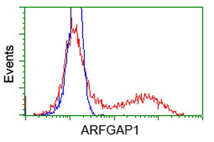 HEK293T cells transfected with either overexpress plasmid (Red) or empty vector control plasmid (Blue) were immunostained by anti-ARFGAP1 antibody, and then analyzed by flow cytometry.