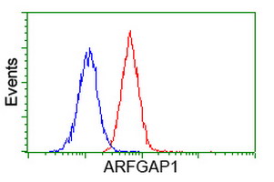 Flow cytometry of Jurkat cells, using anti-ARFGAP1 antibody (Red), compared to a nonspecific negative control antibody (Blue).