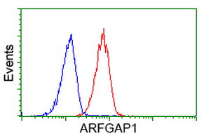 Flow cytometry of HeLa cells, using anti-ARFGAP1 antibody (Red), compared to a nonspecific negative control antibody (Blue).