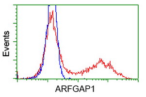 HEK293T cells transfected with either overexpress plasmid (Red) or empty vector control plasmid (Blue) were immunostained by anti-ARFGAP1 antibody, and then analyzed by flow cytometry.