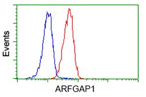 Flow cytometry of Jurkat cells, using anti-ARFGAP1 antibody (Red), compared to a nonspecific negative control antibody (Blue).
