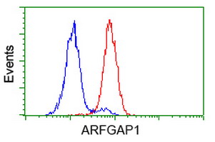 Flow cytometry of HeLa cells, using anti-ARFGAP1 antibody (Red), compared to a nonspecific negative control antibody (Blue).