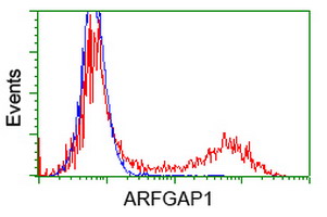 HEK293T cells transfected with either overexpress plasmid (Red) or empty vector control plasmid (Blue) were immunostained by anti-ARFGAP1 antibody, and then analyzed by flow cytometry.