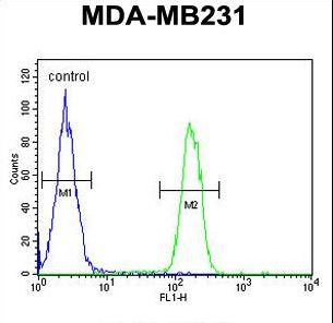 ARG1 Antibody flow cytometry of MDA-MB231 cells (right histogram) compared to a negative control cell (left histogram). FITC-conjugated goat-anti-rabbit secondary antibodies were used for the analysis.