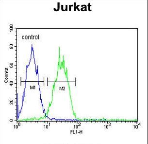 ARGLU1 Antibody flow cytometry of Jurkat cells (right histogram) compared to a negative control cell (left histogram). FITC-conjugated goat-anti-rabbit secondary antibodies were used for the analysis.