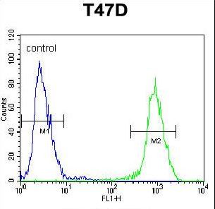 RHG19 Antibody flow cytometry of T47D cells (right histogram) compared to a negative control cell (left histogram). FITC-conjugated goat-anti-rabbit secondary antibodies were used for the analysis.