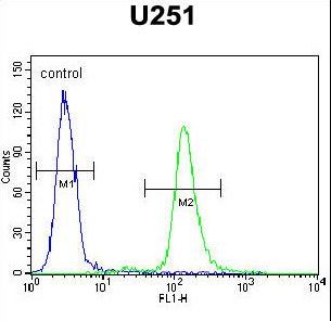 ACAP3 Antibody flow cytometry of U251 cells (right histogram) compared to a negative control cell (left histogram). FITC-conjugated goat-anti-rabbit secondary antibodies were used for the analysis.