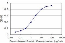 Detection limit for recombinant GST tagged ARHGEF11 is approximately 0.03 ng/ml as a capture antibody.