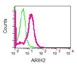Flow cytometry of permeabilized K562 cells using anti-ARIH2 antibody (red)or a rabbit IgG (negative) (green).