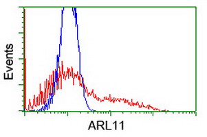 HEK293T cells transfected with either overexpress plasmid (Red) or empty vector control plasmid (Blue) were immunostained by anti-ARL11 antibody, and then analyzed by flow cytometry.