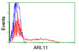 HEK293T cells transfected with either overexpress plasmid (Red) or empty vector control plasmid (Blue) were immunostained by anti-ARL11 antibody, and then analyzed by flow cytometry.