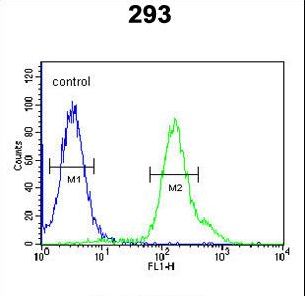 ARMC5 Antibody flow cytometry of 293 cells (right histogram) compared to a negative control cell (left histogram). FITC-conjugated goat-anti-rabbit secondary antibodies were used for the analysis.