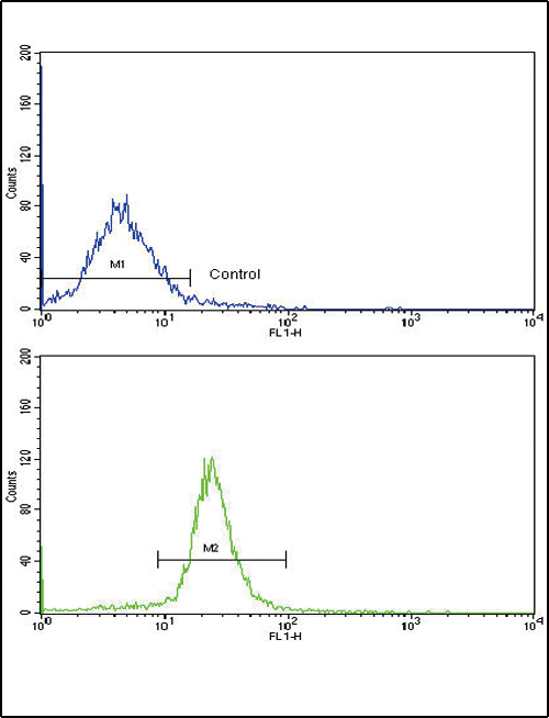 Flow cytometric of WiDr cells using ARPC1A Antibody (bottom histogram) compared to a negative control cell (top histogram). FITC-conjugated goat-anti-rabbit secondary antibodies were used for the analysis.