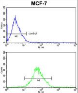 ARPC1B Antibody FC of MCF-7 cells (bottom histogram) compared to a negative control cell (top histogram). FITC-conjugated goat-anti-rabbit secondary antibodies were used for the analysis.