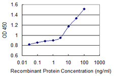Detection limit for recombinant GST tagged ARSB is 1 ng/ml as a capture antibody.